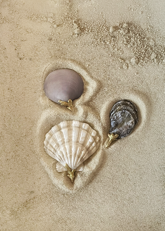 The Seashell Trio